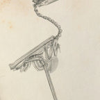 Anatomy: Plate No. 03