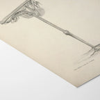 Anatomy: Plate No. 03