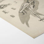 Anatomy: Plate No. 06