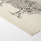 Anatomy: Plate No. 21