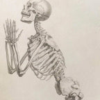 Anatomy: Plate No. 30