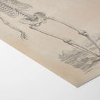 Anatomy: Plate No. 33