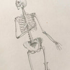 Anatomy: Plate No. 34