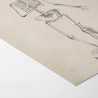 Anatomy: Plate No. 34