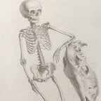 Anatomy: Plate No. 35
