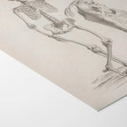 Anatomy: Plate No. 35