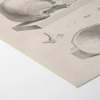 Anatomy: Plate No. 39