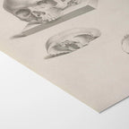 Anatomy: Plate No. 40
