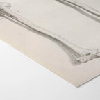 Anatomy: Plate No. 42