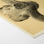 Anatomy: Plate No. 45