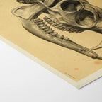 Anatomy: Plate No. 51