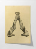 Anatomy: Plate No. 52