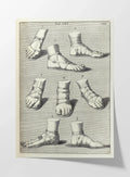 Archives: Plate No. 03