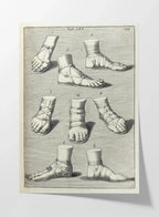 Archives: Plate No. 03