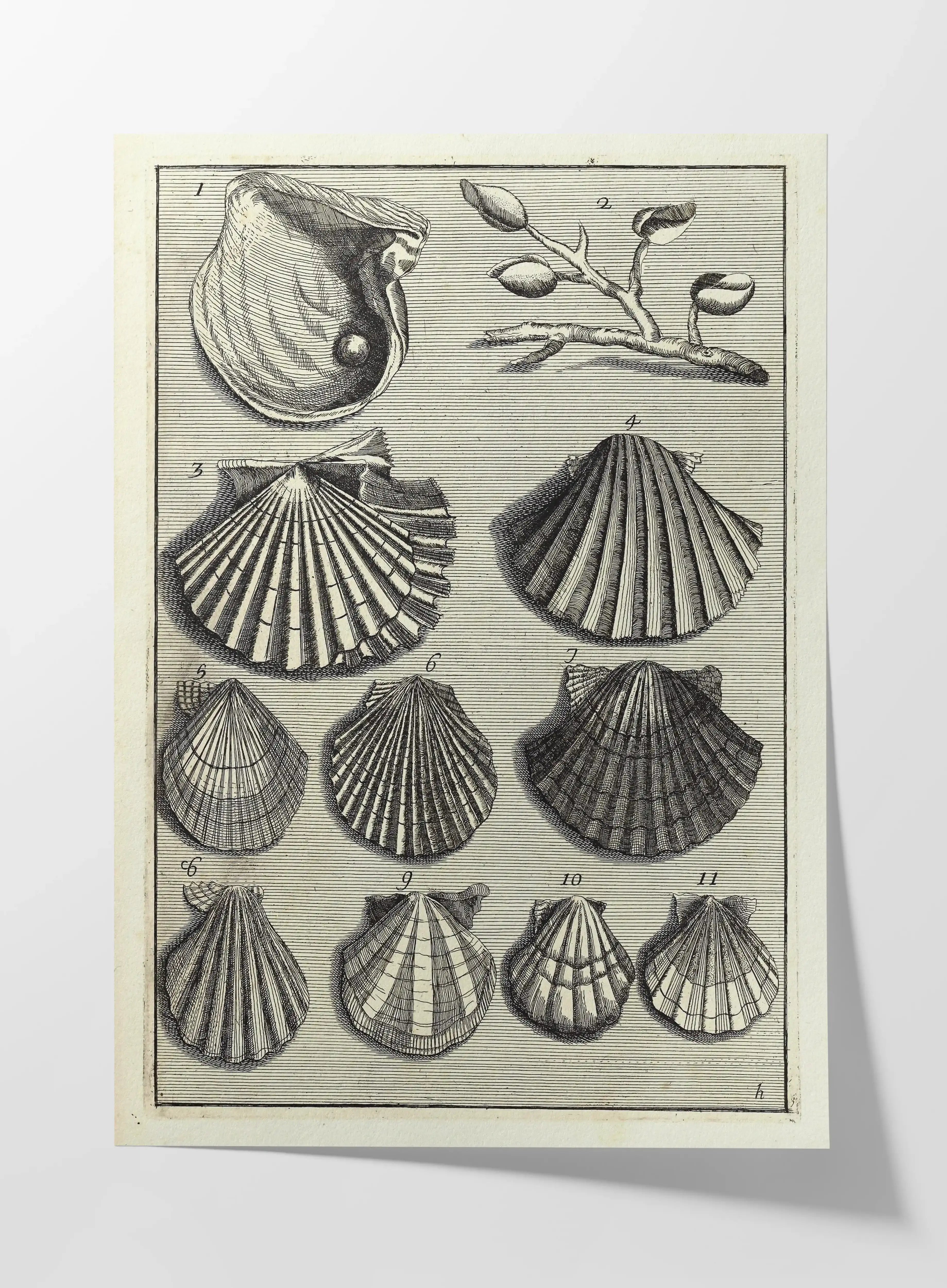 Archives: Plate No. 05