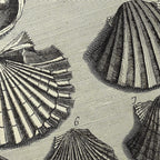 Archives: Plate No. 05