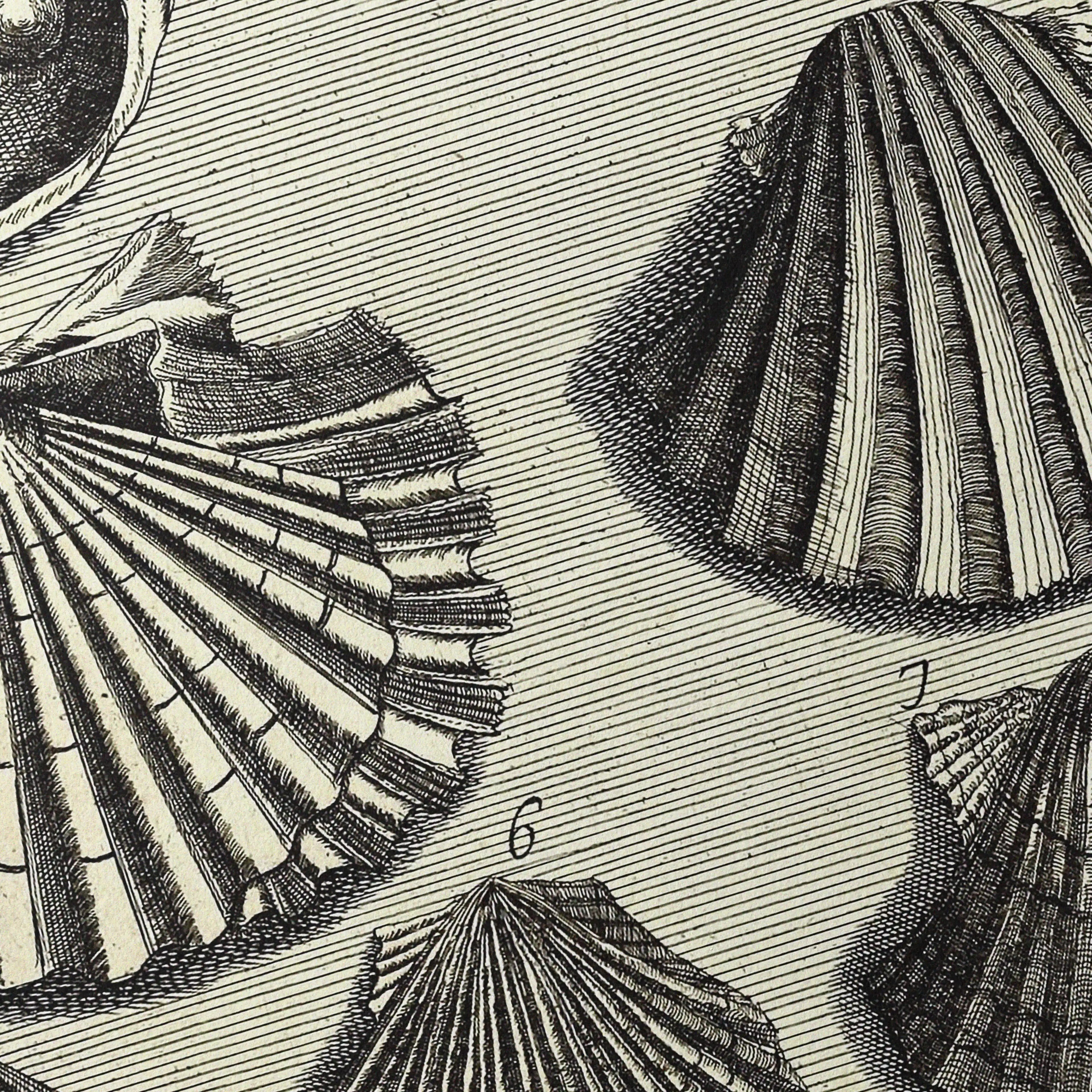 Archives: Plate No. 05