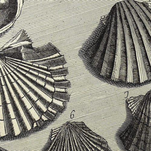 Archives: Plate No. 05