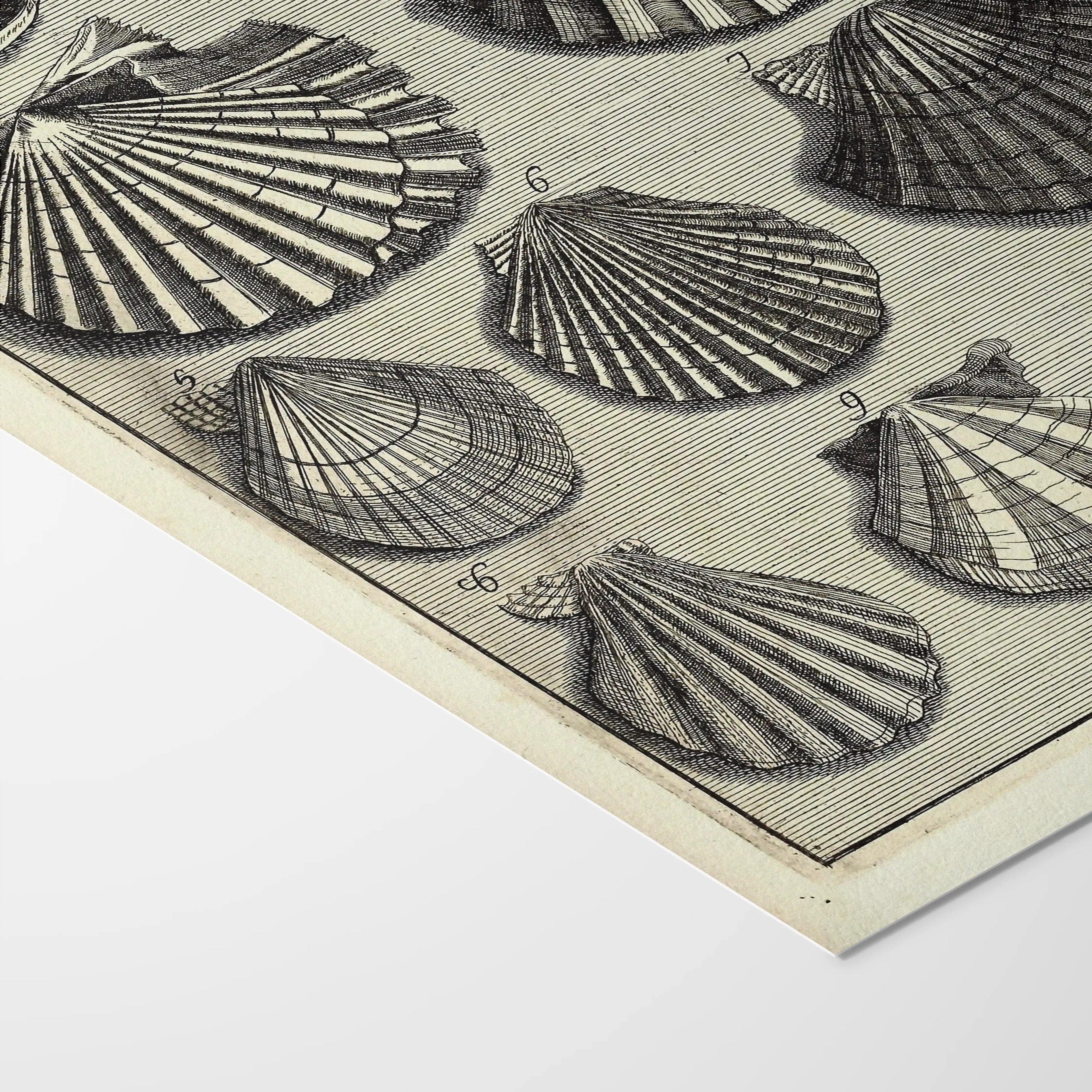 Archives: Plate No. 05