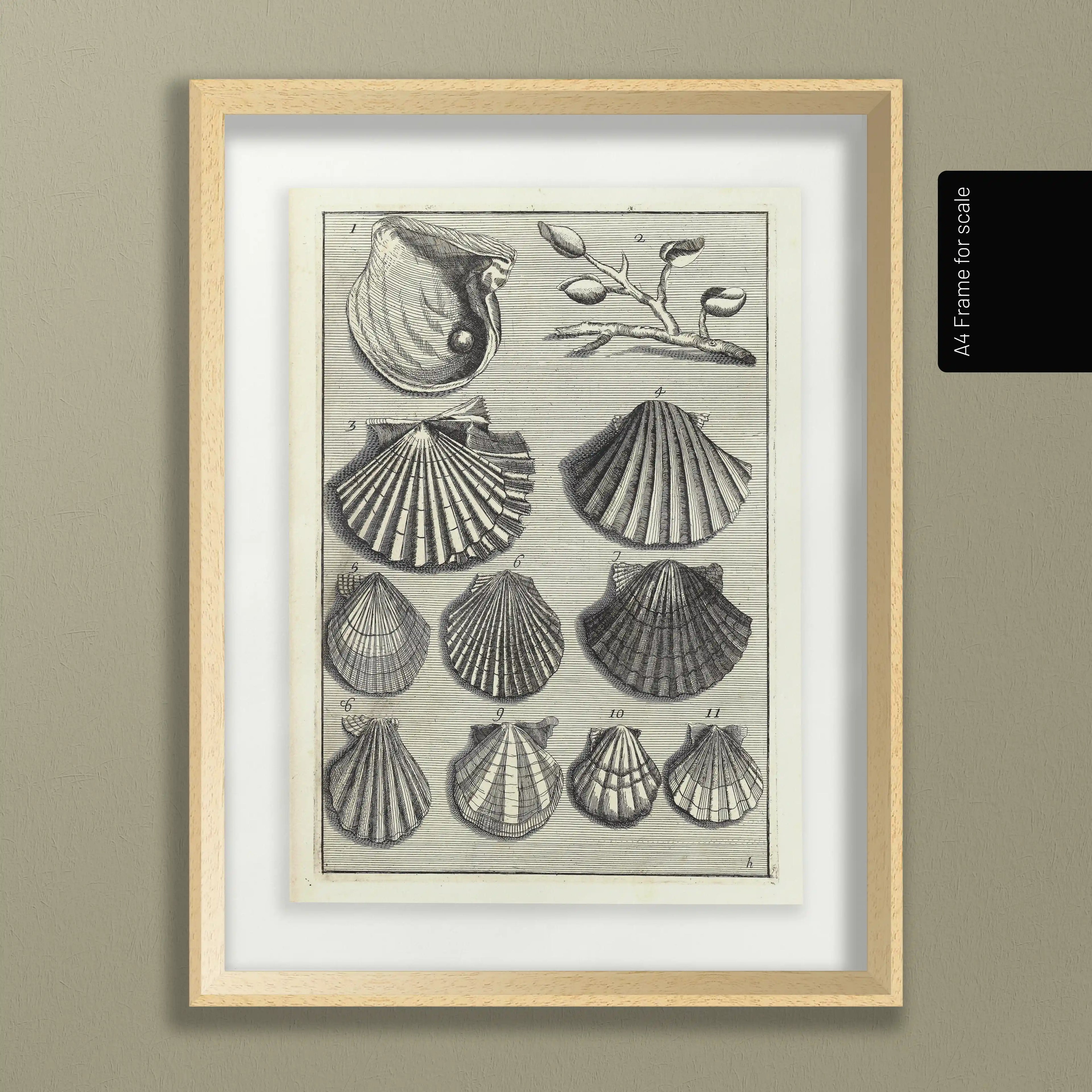 Archives: Plate No. 05