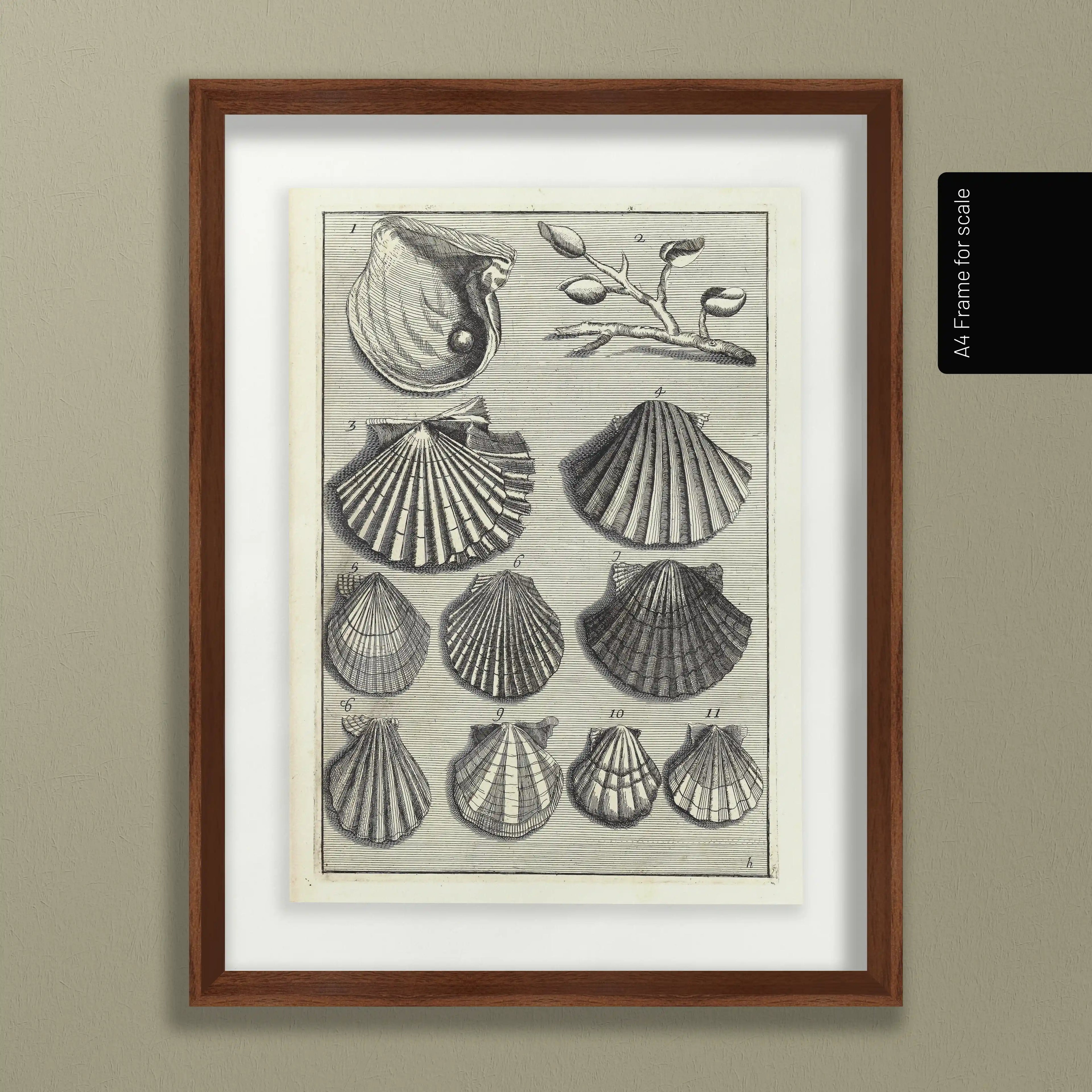 Archives: Plate No. 05