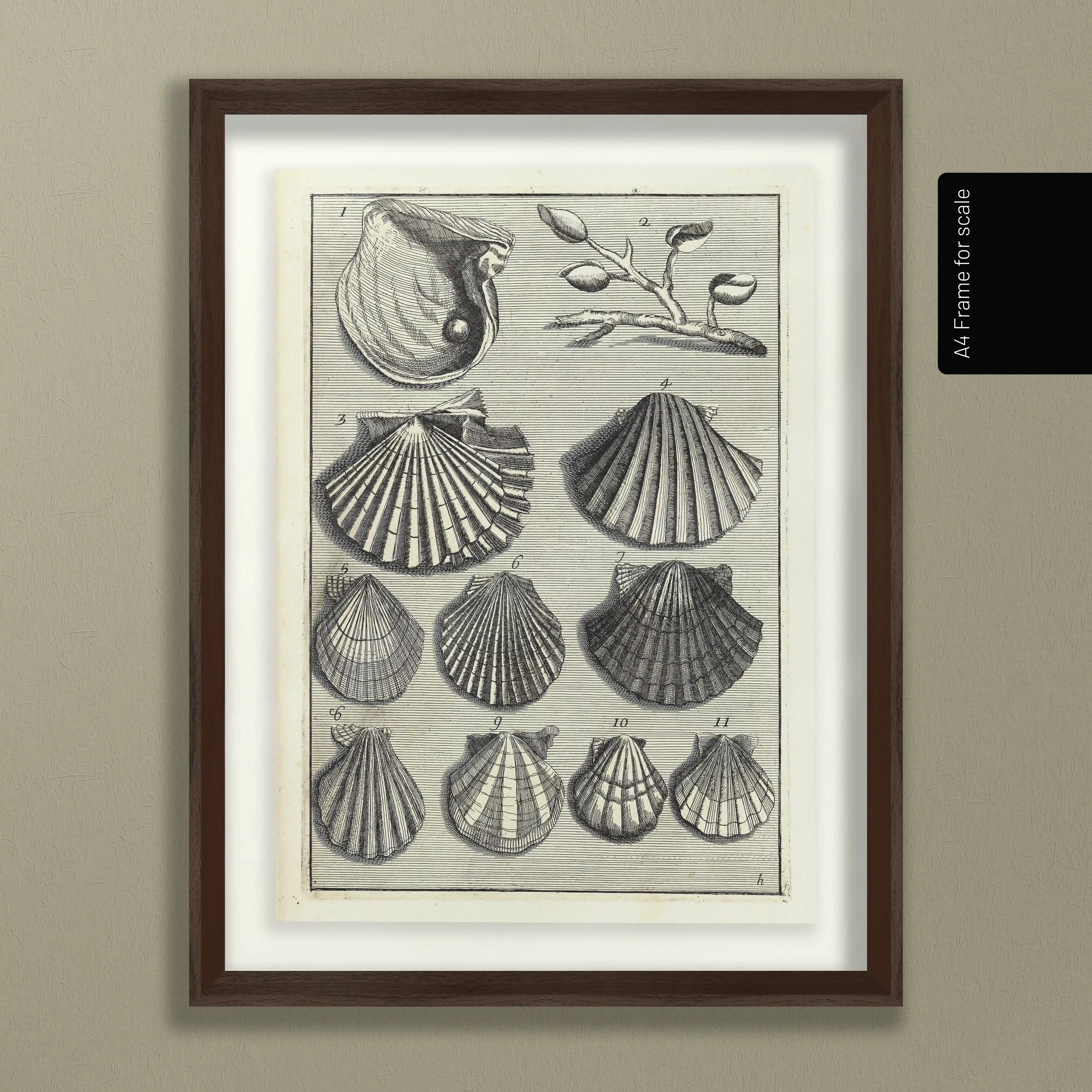 Archives: Plate No. 05