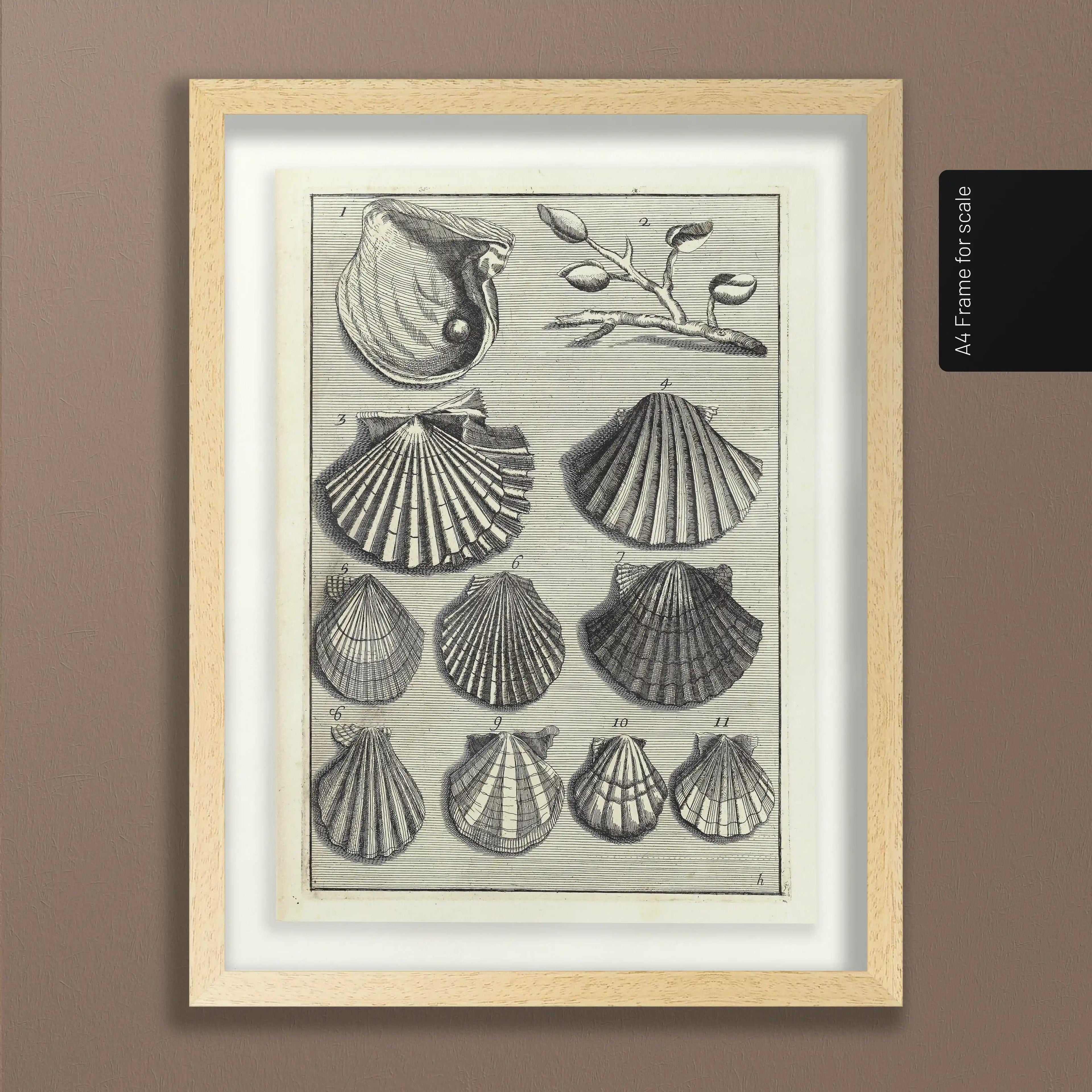 Archives: Plate No. 05