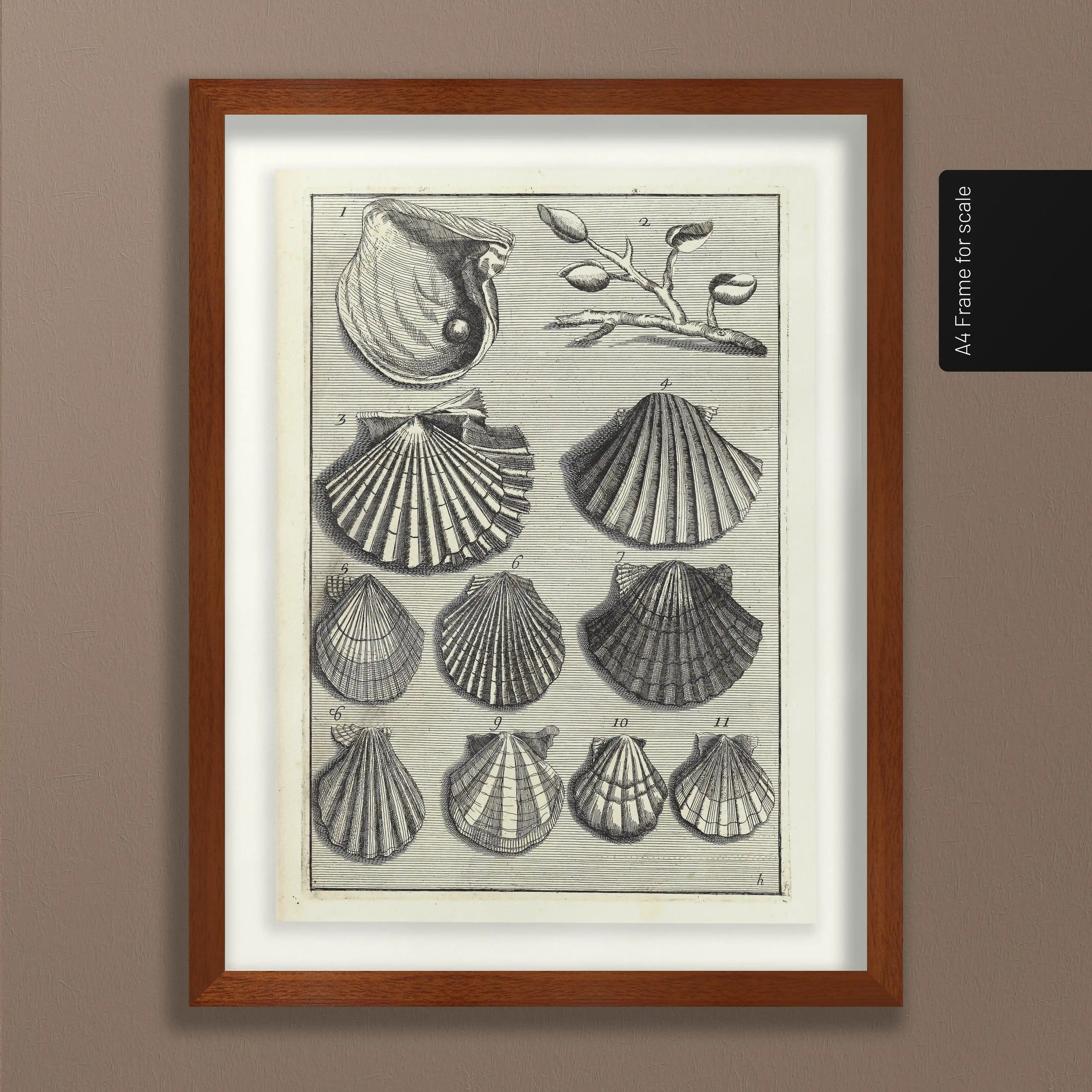 Archives: Plate No. 05