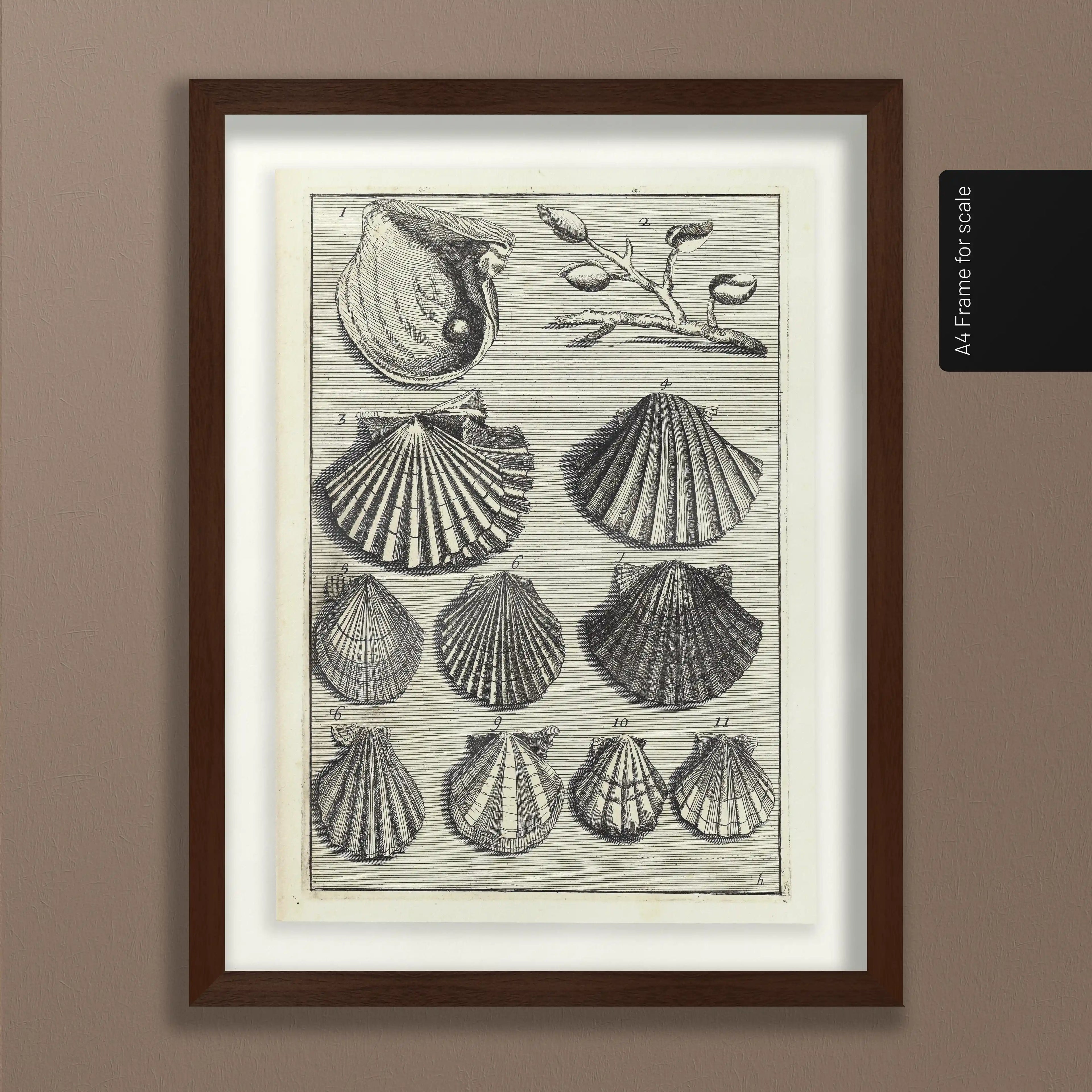 Archives: Plate No. 05