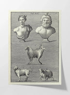 Archives: Plate No. 07