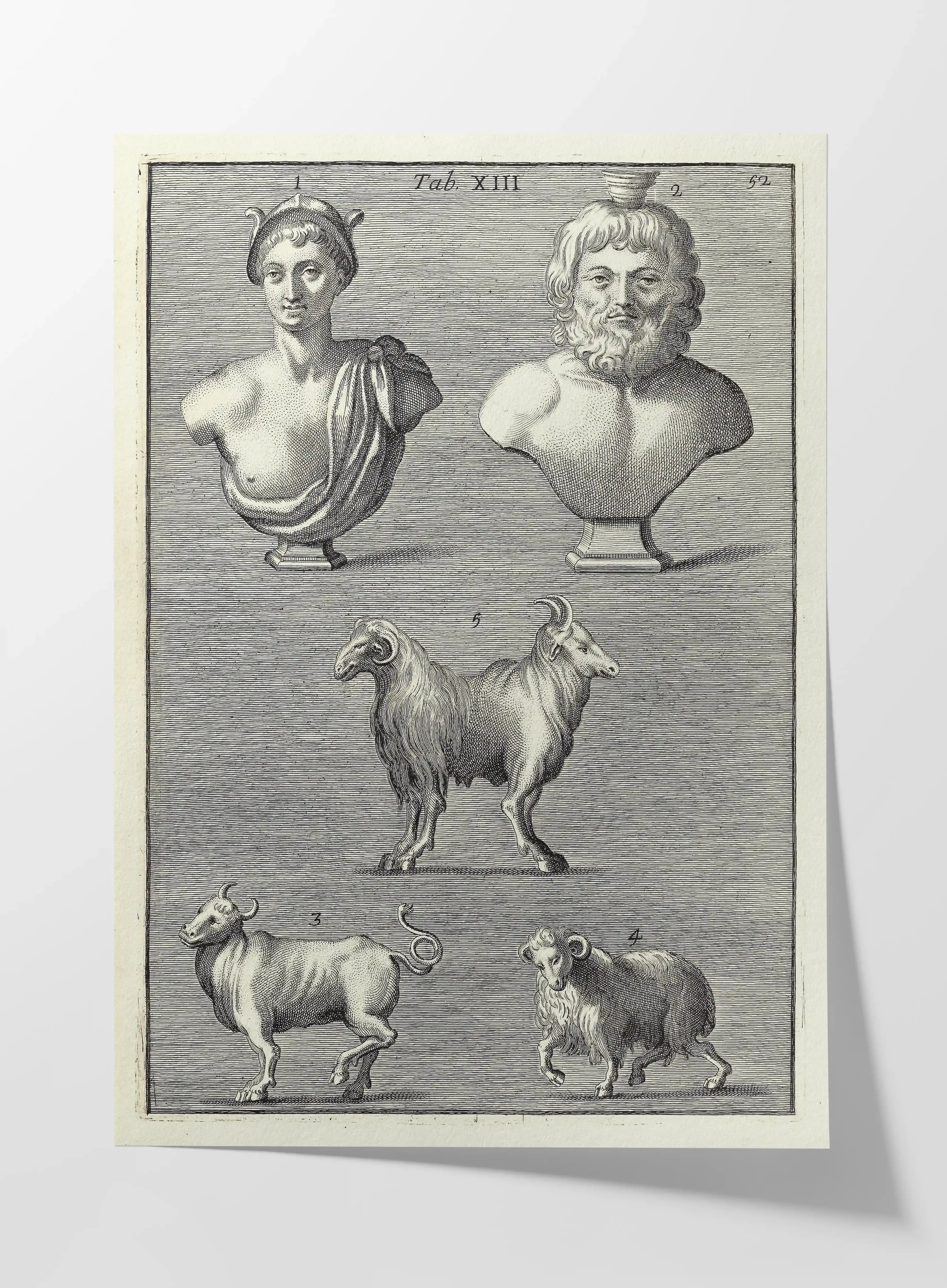 Archives: Plate No. 07