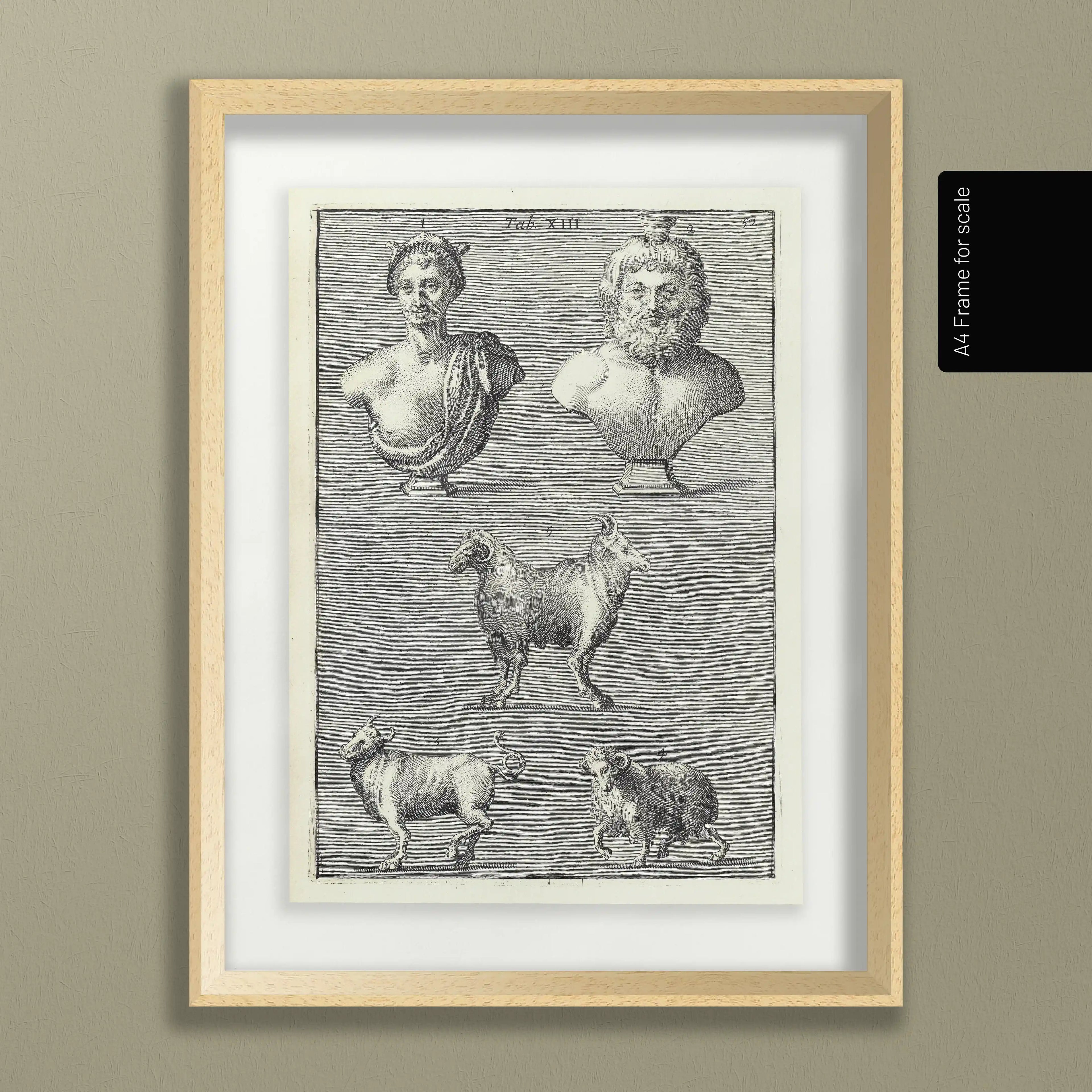 Archives: Plate No. 07