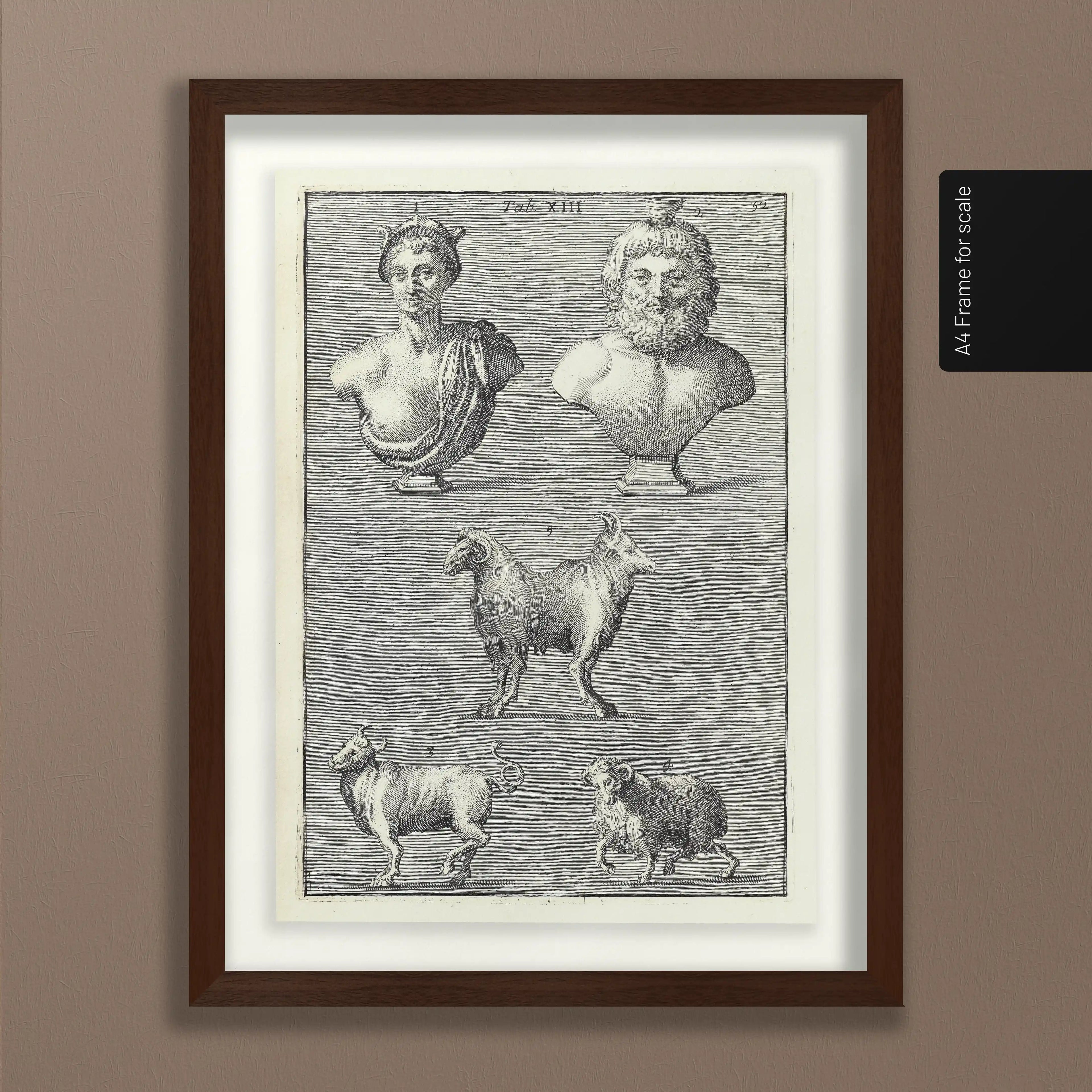 Archives: Plate No. 07