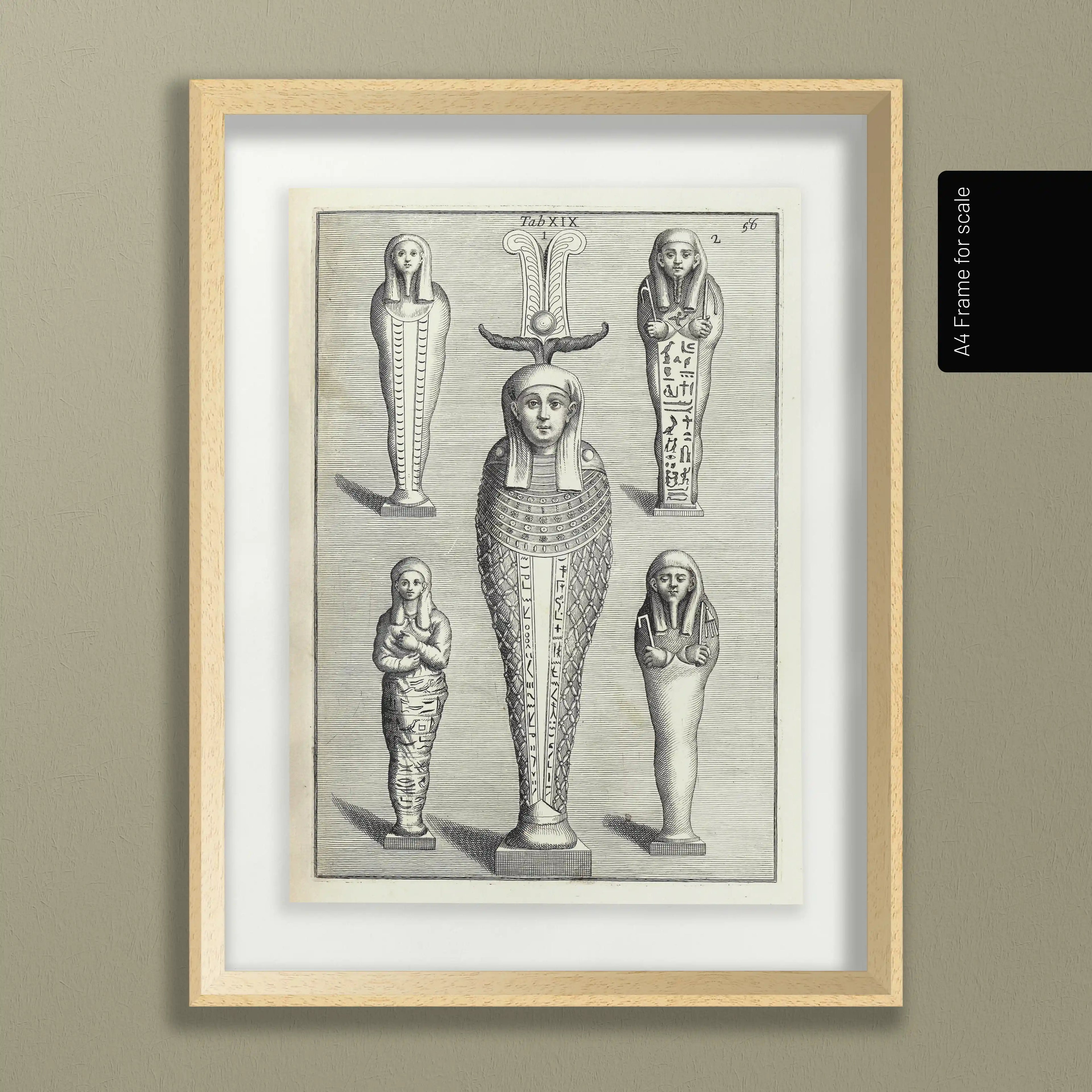 Archives: Plate No. 08