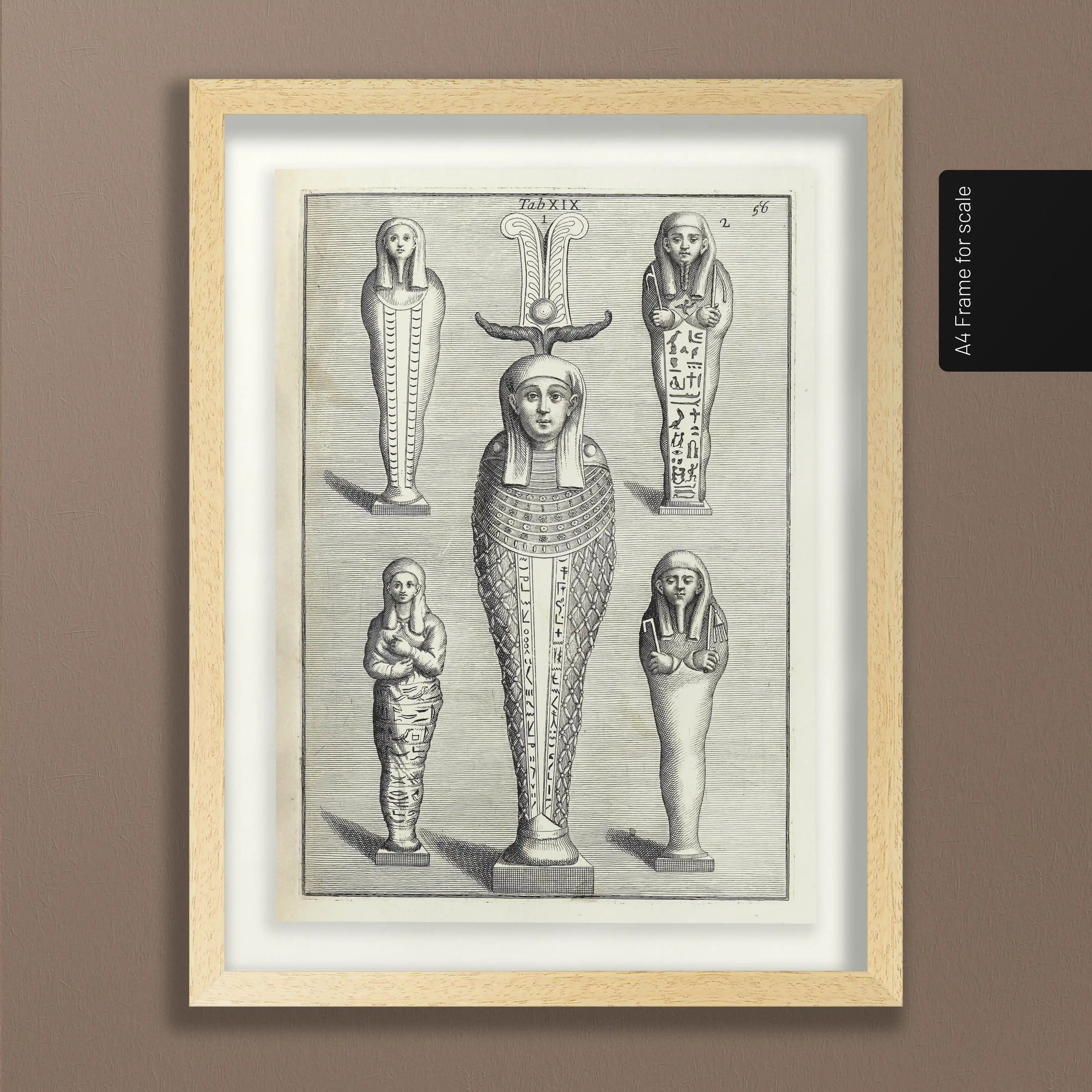 Archives: Plate No. 08