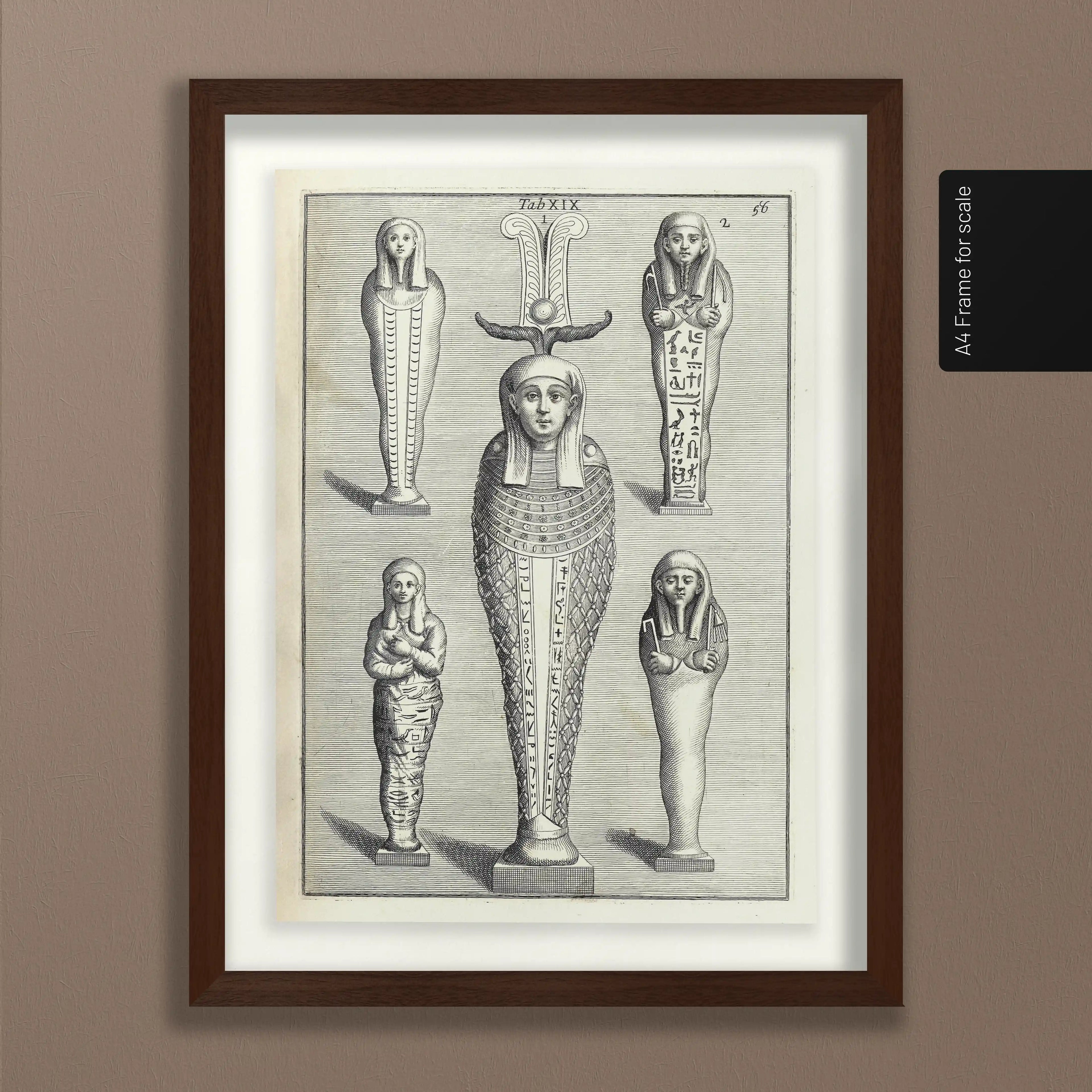 Archives: Plate No. 08