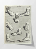 Archives: Plate No. 10