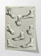 Archives: Plate No. 10
