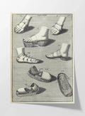 Archives: Plate No. 11