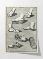 Archives: Plate No. 11