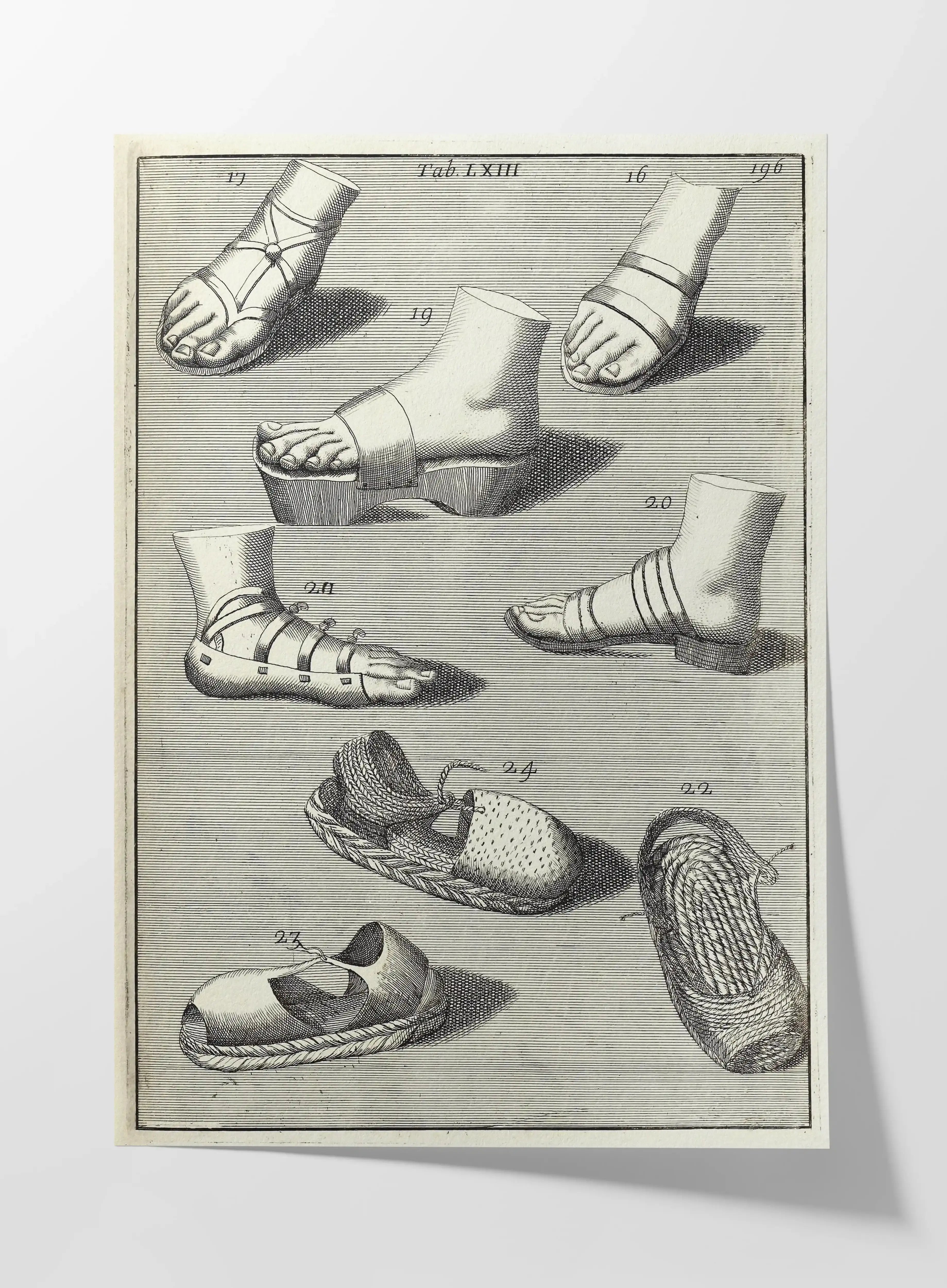 Archives: Plate No. 11