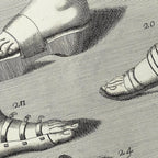 Archives: Plate No. 11