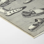 Archives: Plate No. 11