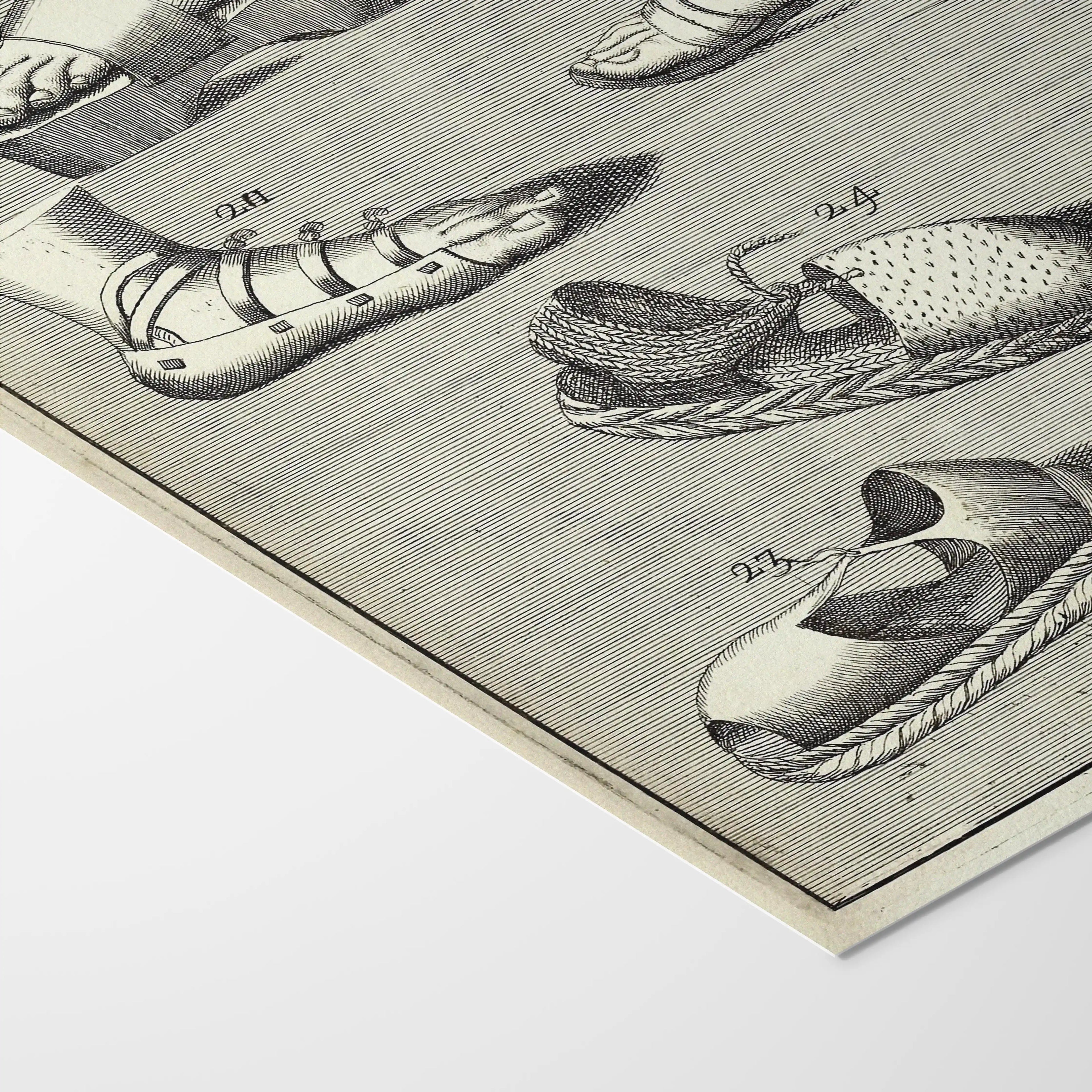 Archives: Plate No. 11