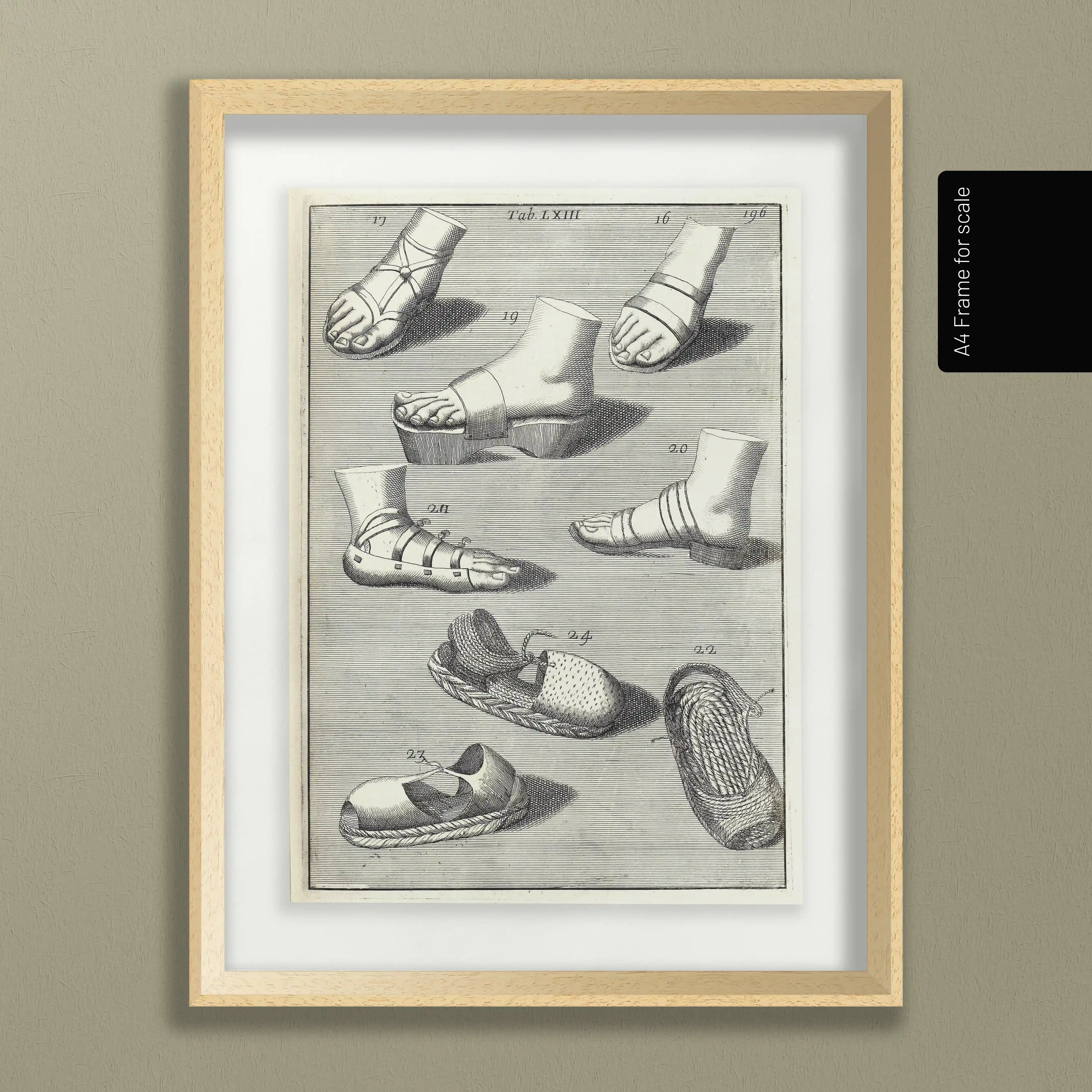 Archives: Plate No. 11