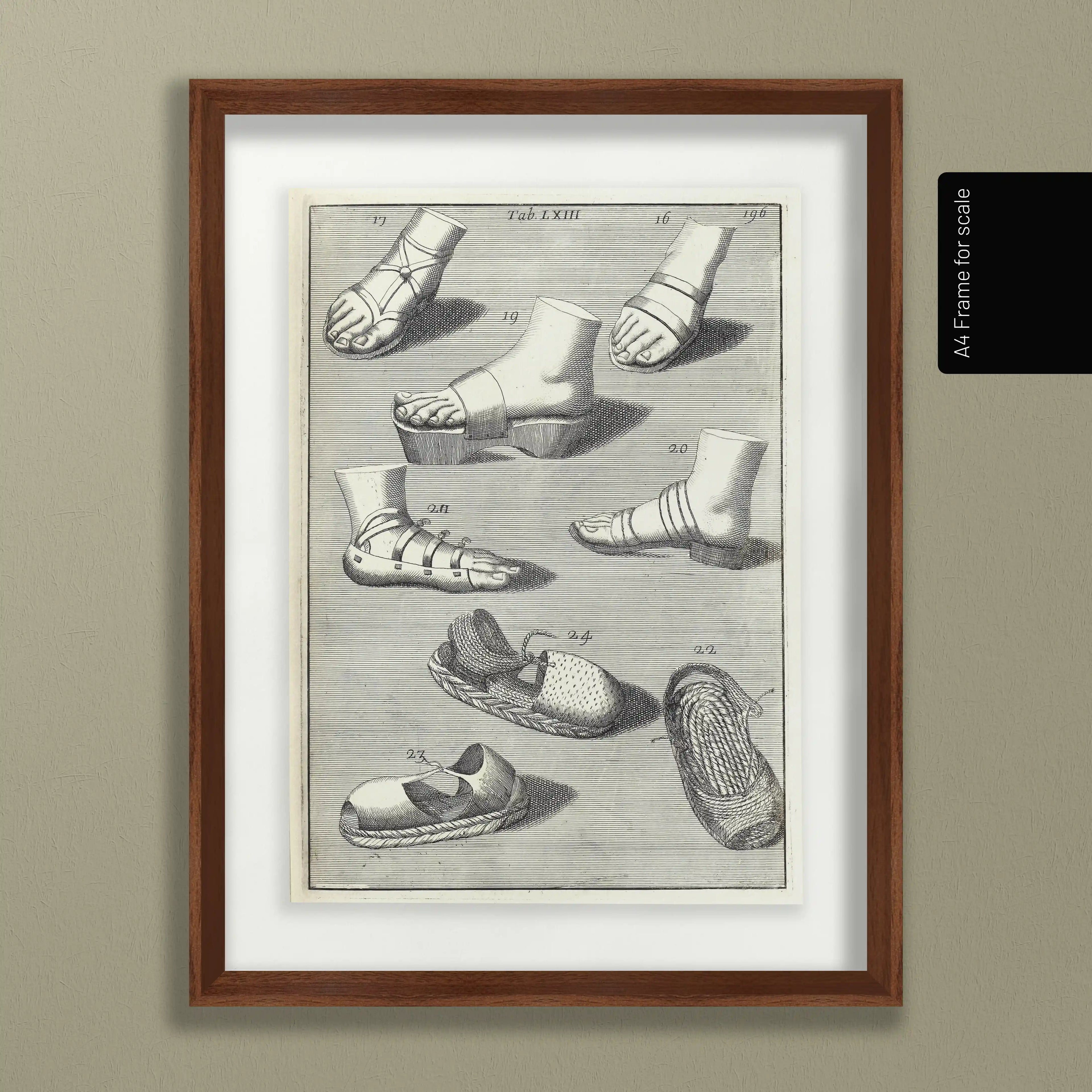 Archives: Plate No. 11