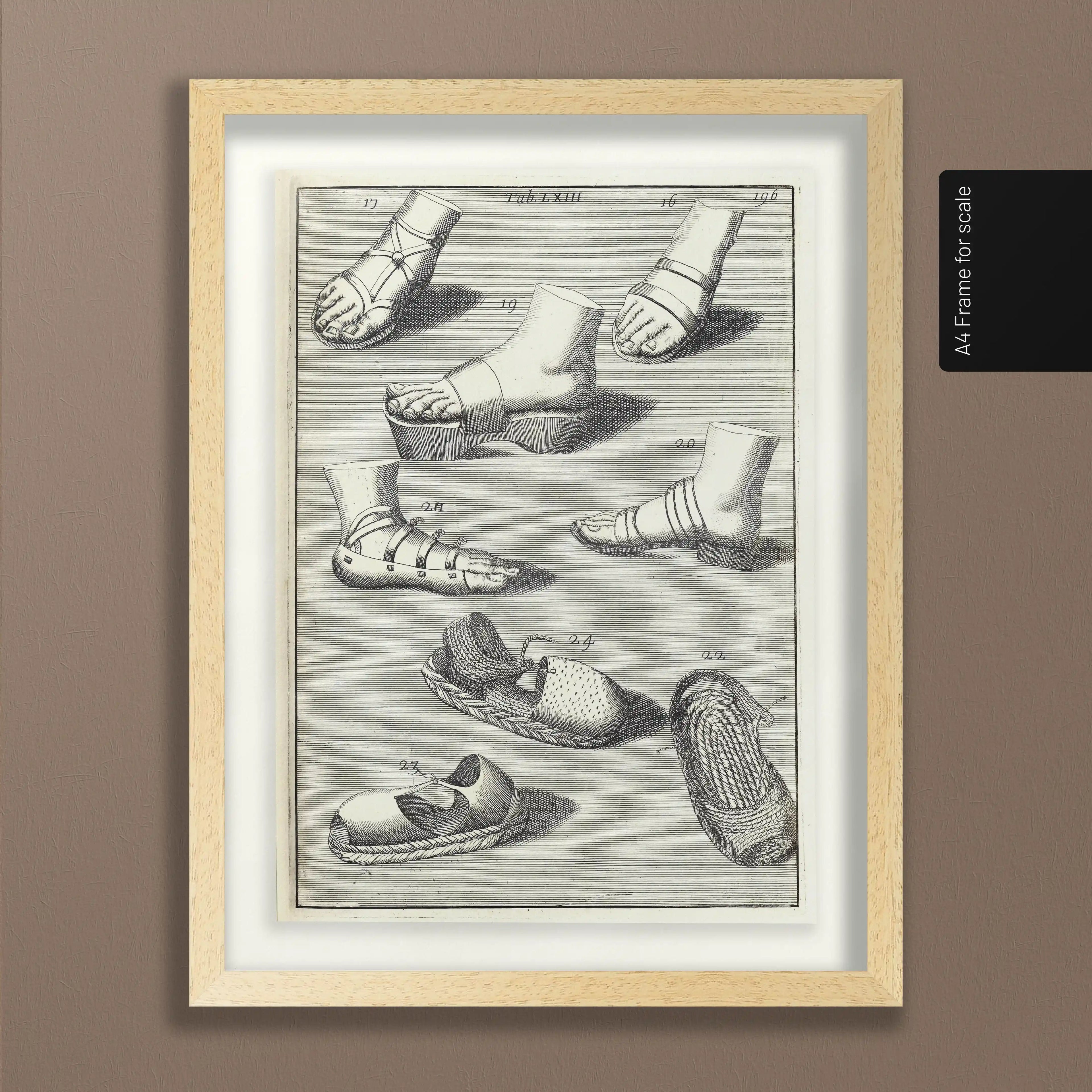 Archives: Plate No. 11