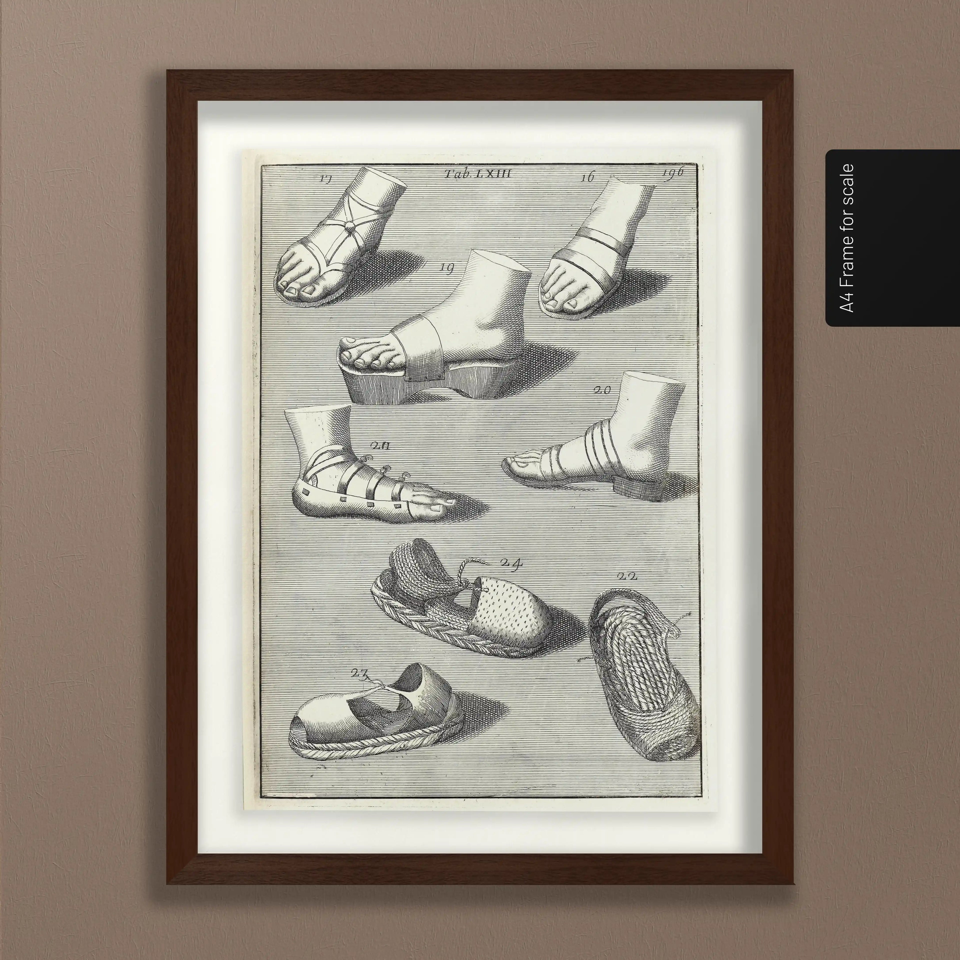 Archives: Plate No. 11