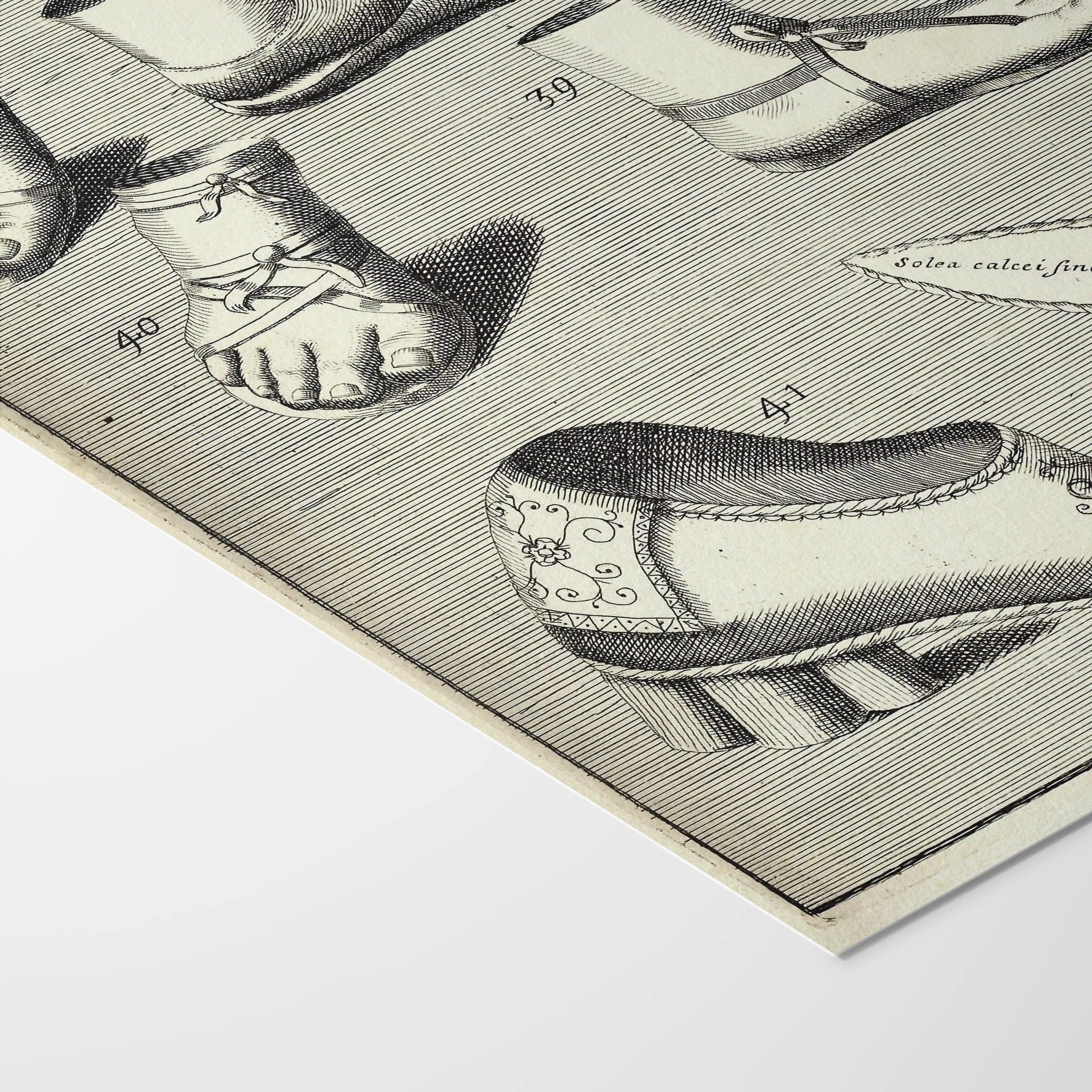 Archives: Plate No. 13