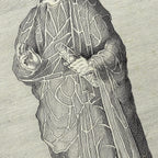 Archives: Plate No. 16